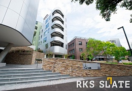 Облицовочный камень RKS SLATE Sesame Yellow Quartz Strips