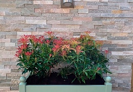 3D панели RKS SLATE Сланец Beige Slate Classic